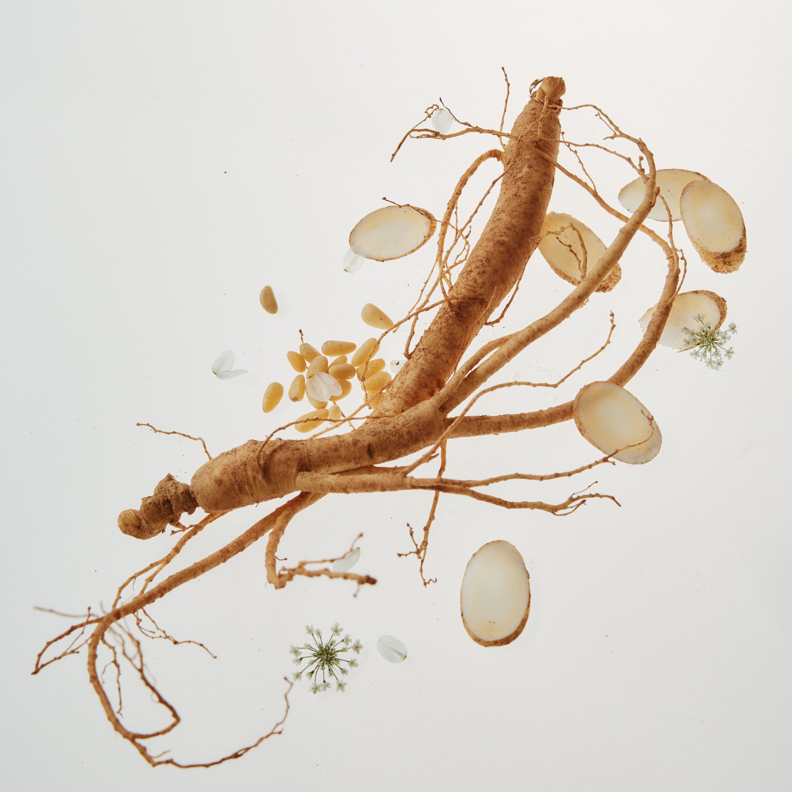 Your Ultimate Hanbang Skin Barrier Routine, Explained